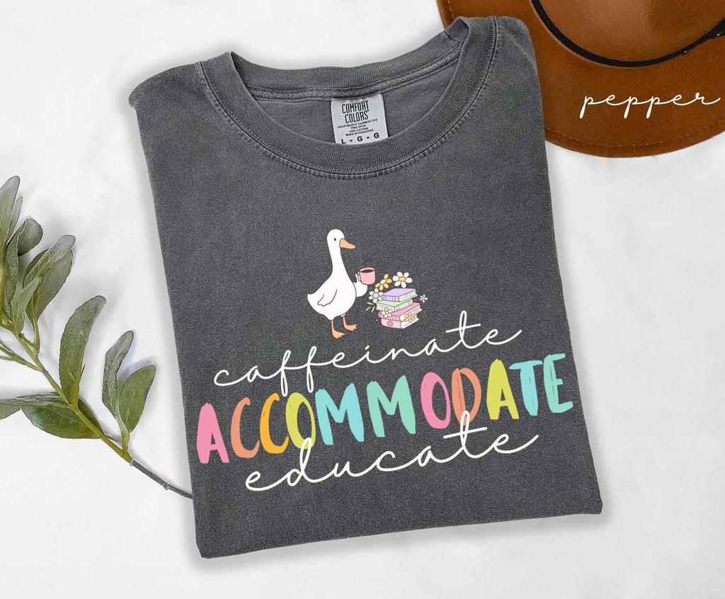Comfort Colors Teacher Caffeinate Accommodate Educate Education Silly Goose Tee Back School Teacher (1)