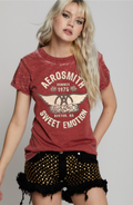 302838 - 1030 Aerosmith Sweet Emotion Burn Out Graphic Tee