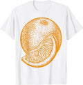 [100% Cotton] Orange Fruit Retro Vintage Art Graphic Gift - Orange T-Shirt Hoodie, Sweatshirt | RetroVerseTees.com