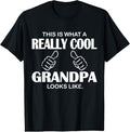 100% Cotton This Is What A Really Cool Grandpa Looks Like Funny T-Shirt T-Shirt Hoodie, Sweatshirt | RetroVerseTees.com