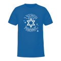 Israel Solidarity T-Shirt Hoodie, Sweatshirt | RetroVerseTees.com