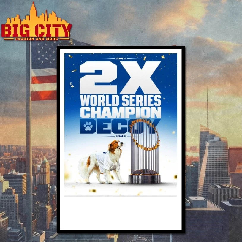 2X World Series Champion Decoy shirt