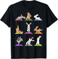 Sporty Animals & Meditating Pets