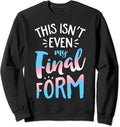This Isn't Even My Final Form Sweatshirt LGBT Transgender Pride Flag