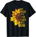 not fragile like a flower fragile like a bomb