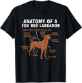 Fox Red Labrador Retriever Gifts & Apparel