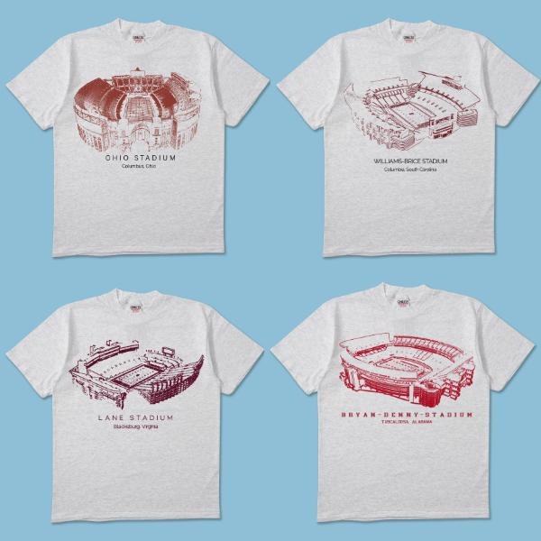 All NCAA College Team Stadium T-Shirt, Unisex Crewneck T-Shirt for Men and Women, Game Day Football Tee, College Fan...