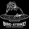 Bird Strike Ufo