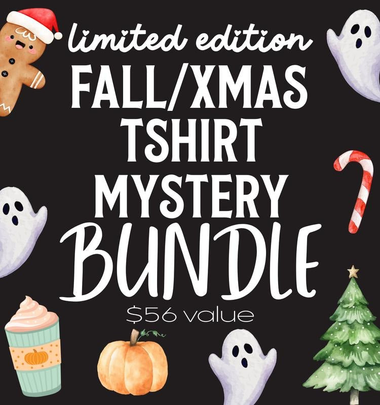 Limited Edition Fall/Christmas Comfort Colors Shirt Mystery Bundle Hoodie, Sweatshirt | RetroVerseTees.com