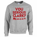 Christmas Vacation Sweatshirt, You Serious Clark Shirt, Christmas Party Shirt, Holiday Sweatshirt, Christmas Sweatshirt,...
