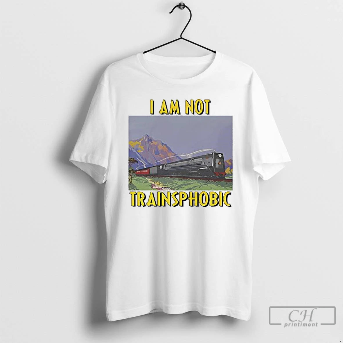 Classic I Am Not Transphobic Photo Art T-Shirts, Hoodie, Sweatshirt | RetroVerseTees.com