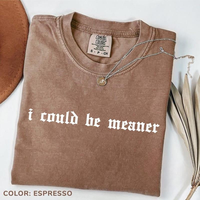 Comfort Colors I Could Be Meaner T-Shirt, Sarcastic T-Shirt, Funny Humor T-Shirt, Sarcasm Tee, Funny Quote TShirt Hoodie,...