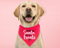 Dear Santa Just Bring Treats Dog Bandana, Christmas Puppy Handkerchief, Holiday Dog Gift Neck Scarf, Pets Owner Christmas...