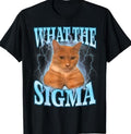 ERM, What The Sigma Meme Cat Ironic Brainrot Y2K T-Shirt Hoodie, Sweatshirt | RetroVerseTees.com