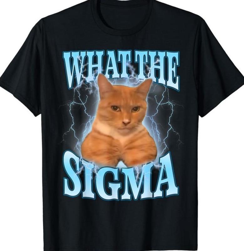ERM, What The Sigma Meme Cat Ironic Brainrot Y2K T-Shirt Hoodie, Sweatshirt | RetroVerseTees.com