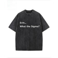 "Erm...What TNF Sigma?" Creative Pattern Printing Heavy 230g Pure Cotton Oversized Drop Shoulder T-shirt Washed T-shirt...