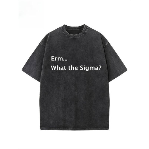 "Erm...What TNF Sigma?" Creative Pattern Printing Heavy 230g Pure Cotton Oversized Drop Shoulder T-shirt Washed T-shirt...