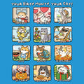 Find Your Birth Cat