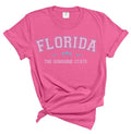 Florida The Sunshines State Tee - Florida Tshirt - T-shirt for summer