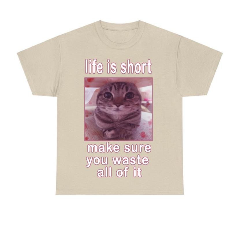 Funny Cat Meme  Sand T-shirt, Cats Dank Memes Tee, Freaky Unhinged Tshirt, Silly Cats Tee Hoodie, Sweatshirt