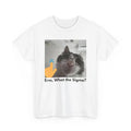 Funny Cat Sigma Meme T-Shirt, Silly Cat Tee Hoodie, Sweatshirt | RetroVerseTees.com