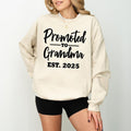 Funny Promoted to Grandma Shirt Sweatshirt Hoodie, Perfect Gift for New Grandma 2025, Cute Grandmother Announcement...