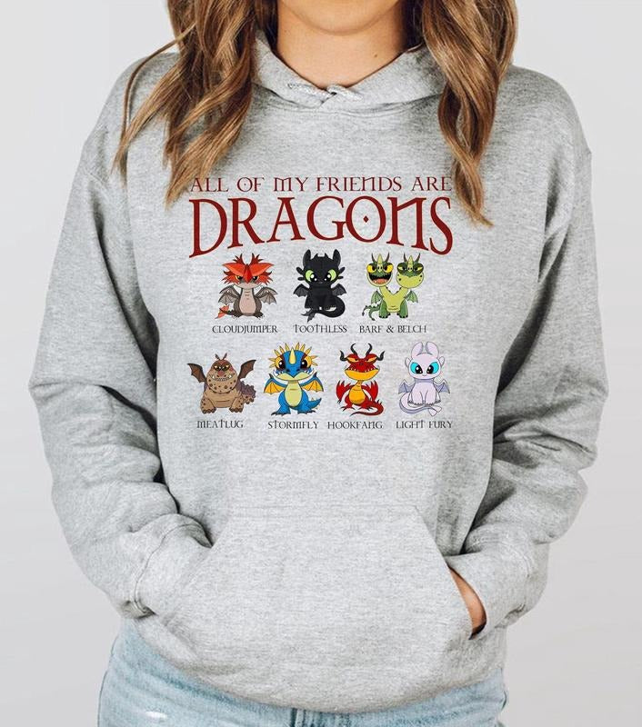 How To Train Your Dragon Shirt, Hidden World Tee, Toothless Friend Shirt Hoodie, Sweatshirt | RetroVerseTees.com