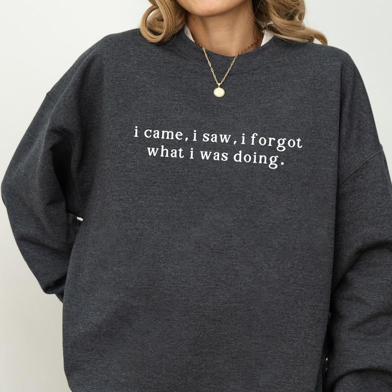 I Came I Saw I Forgot What I Was Doing Sweatshirt, Funny Quote Sweater, Sarcastic Women Shirt, Meme Gift, Humorous Long...