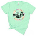 I Feel Like Being A B*tch Today TShirt Hoodie, Sweatshirt | RetroVerseTees.com