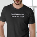 I'M NOT GASLIGHTING YOU'RE JUST CRAZY T Shirt, Unisex Cotton, Funny T Hoodie, Sweatshirt | RetroVerseTees.com