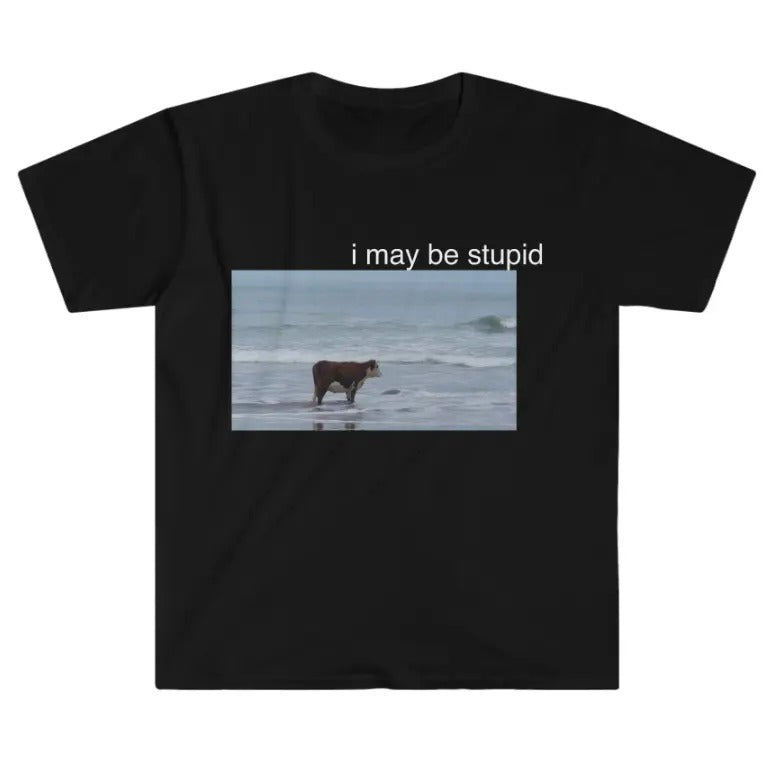 I May Be Stupid Cow on Beach Funny Meme TShirt Hoodie, Sweatshirt | RetroVerseTees.com