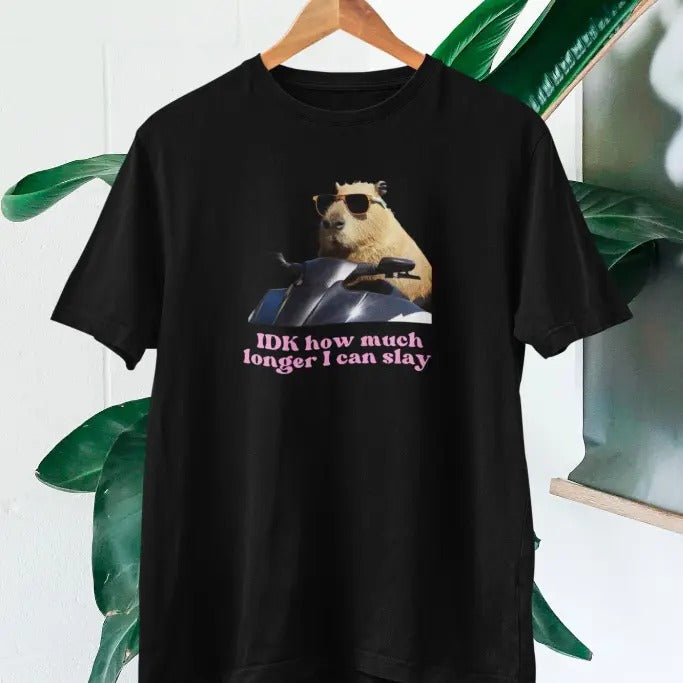 IDK How much longer I can slay T-shir, Funny Capybara Slay T-shirt Hoodie, Sweatshirt | RetroVerseTees.com