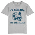 Im Relaxing, Ill exist later T Shirt, Vintage 90s Raccoon Tshirt, Retro, Blue, Tee, Unisex Tee Shirt, Tee, Fun, Gift,...