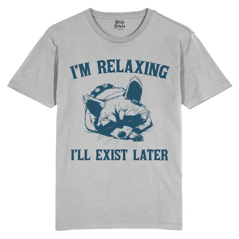 Im Relaxing, Ill exist later T Shirt, Vintage 90s Raccoon Tshirt, Retro, Blue, Tee, Unisex Tee Shirt, Tee, Fun, Gift,...