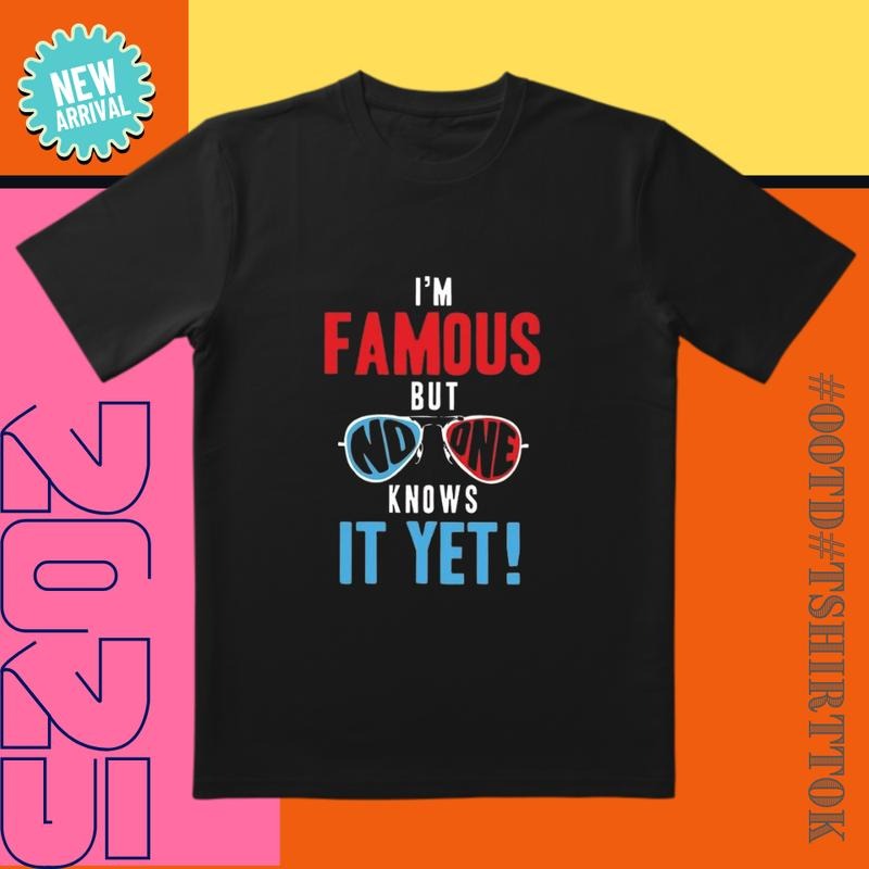 'Invisible Celebrity' Tee |   Orange-Blue Contrast |   'I'm Famous' Social Media Must-Have Hoodie, Sweatshirt
