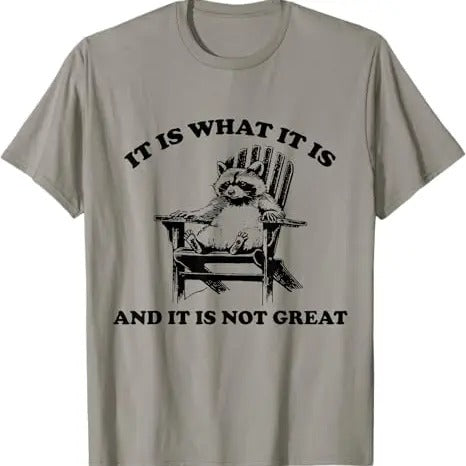 It Is What It Is And It Is Not Great Chillin Funny Raccoon Joke Meme Cartoon Funny Gift Tee TShirt Hoodie, Sweatshirt