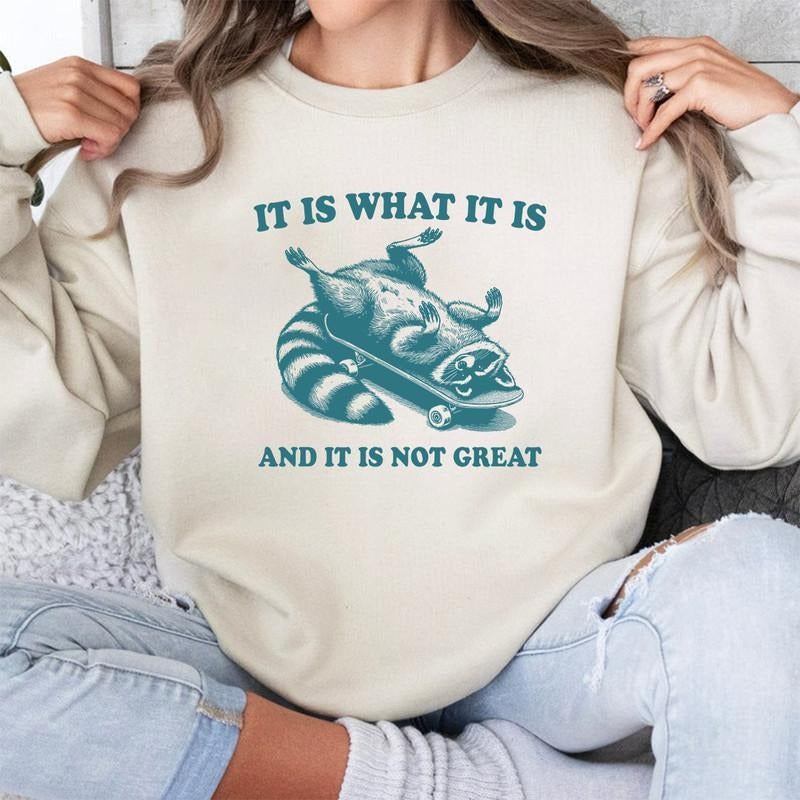 It Is What It Is And It Is Not Great Sweatshirt, Vintage Sweatshirt, Raccoon Sweatshirt, Mental Health Sweatshirt, Funny...