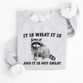 It Is What It Is And It Is Not Great, Raccoon, Funny, Aesthetic Sweatshirt Casual Cotton T-Shirts, Hoodie