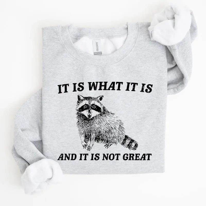It Is What It Is And It Is Not Great, Raccoon, Funny, Aesthetic Sweatshirt Casual Cotton T-Shirts, Hoodie