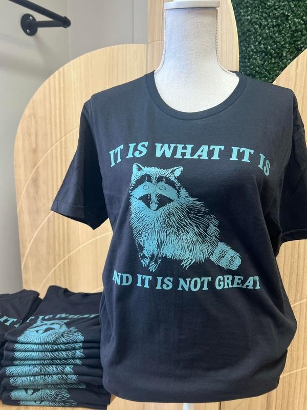 It is What it is and it is Not Great BLACK T-SHIRT - Raccoon Shirt - Funny Tee Hoodie, Sweatshirt | RetroVerseTees.com