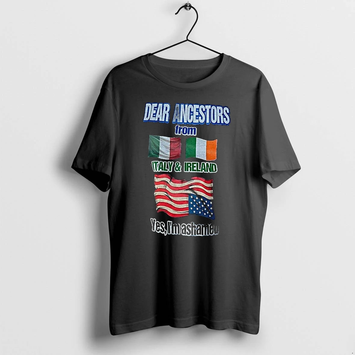 Italian Irish Ancestry Dear Ancestors From Italy And Ireland Yes Im Ashamed Tshirts Sweater