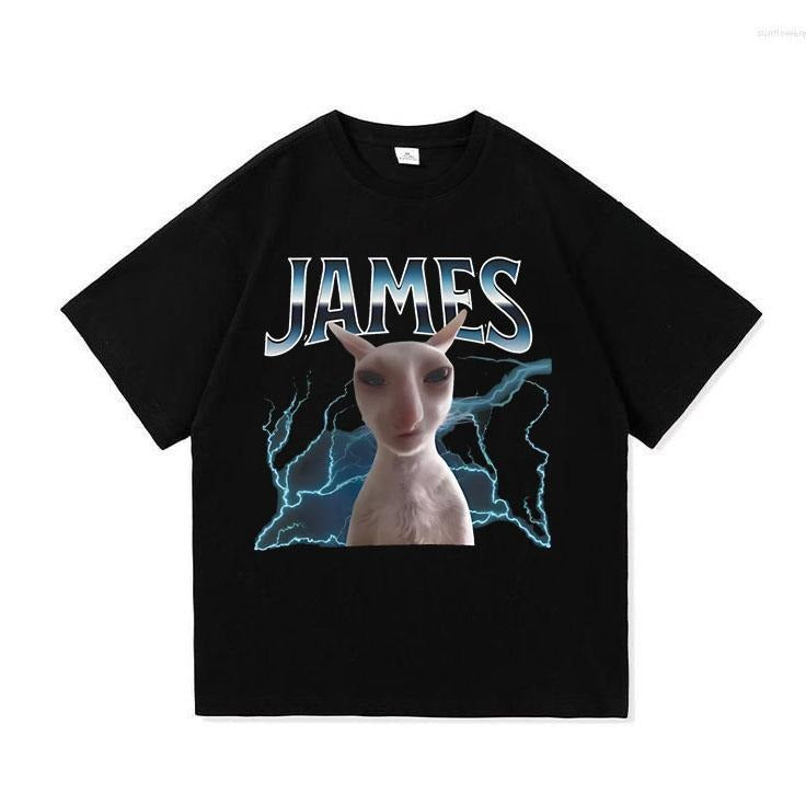 James Funny Cat Meme Unisex T-Shirt - Unisex Graphic Tee S-3XL Hoodie, Sweatshirt | RetroVerseTees.com