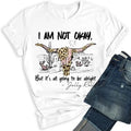 Jelly Shirt I am not Okay But It's All Going To Be Alright Shirt 2 Sides Country Music Concert Merch for Men Women...