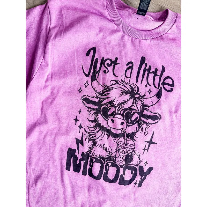 Just A Little Moody Graphic Tee Hoodie, Sweatshirt | RetroVerseTees.com