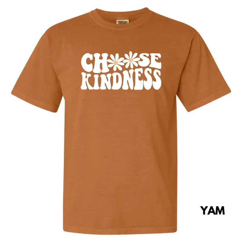 Kindness Chooser Comfort Colors T-Shirt 'NLB' Hoodie, Sweatshirt | RetroVerseTees.com