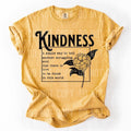 Kindness DTF Transfers - THIS IS NOT A SHIRT Hoodie, Sweatshirt | RetroVerseTees.com