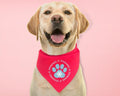 Let It Snow Dog Bandana, Winter Dog Bandana, Dog Paw Handkerchief, Puppy Neck Scarf Snow, Pet Owner Christmas Gift Scarf....