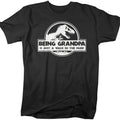 Men's Funny Grandpa T-Shirt, Father's Day Gift Being Grandpa Is A Walk In The Park Shirt, Dinosaur Tee,T Rex Shirt Cotton...
