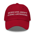Mexicans Aren't Going Anywhere Dad Hat, Embroidered Cap Anti Racism Baseball Hat, America Was Built by Immigrants, Anti...