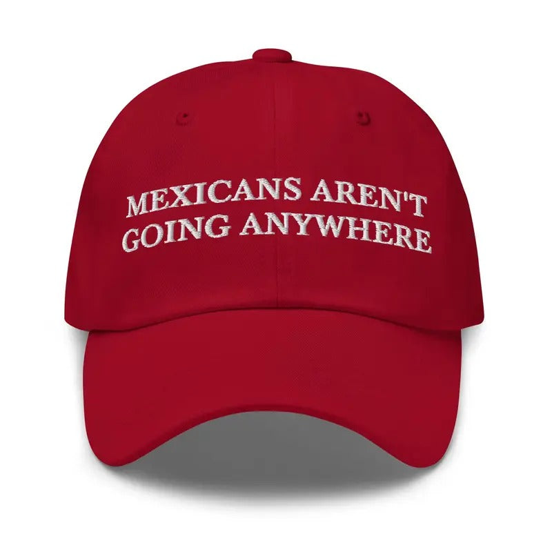 Mexicans Aren't Going Anywhere Dad Hat, Embroidered Cap Anti Racism Baseball Hat, America Was Built by Immigrants, Anti...